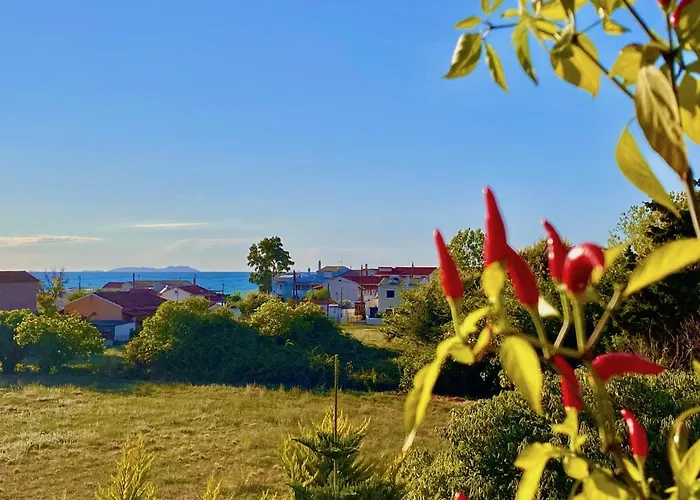 Heart House With Private Pool By Dadovillas Acharavi (Corfu)